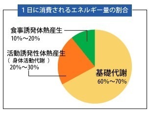 消費カロリー